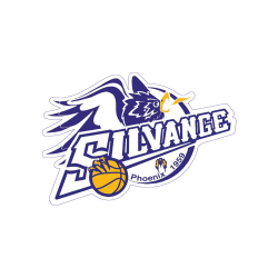 US SILVANGE BASKET